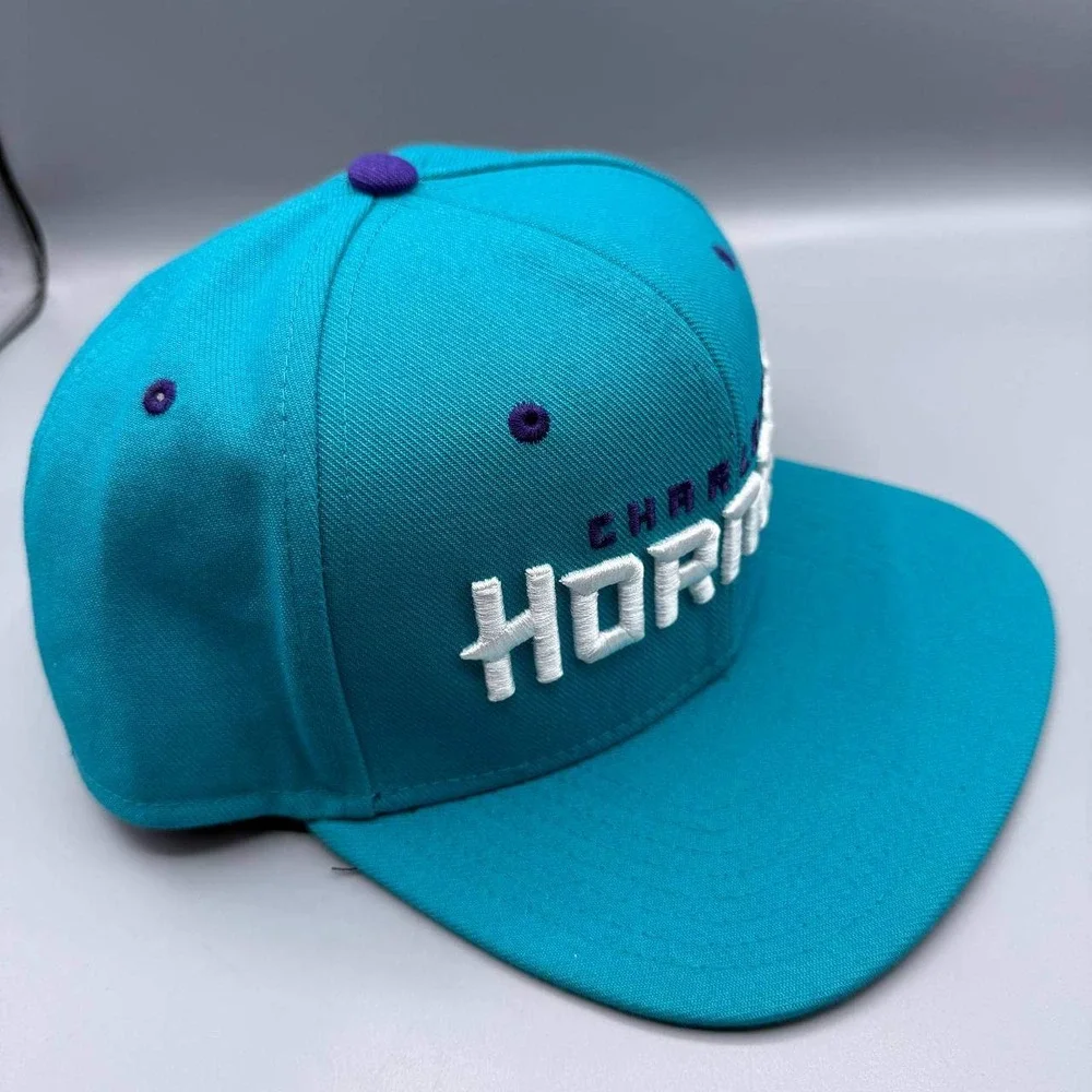 Charlotte Hornets x Air Jordan‎ Hat Men Blue Purple Jumpman Snap Back Cap